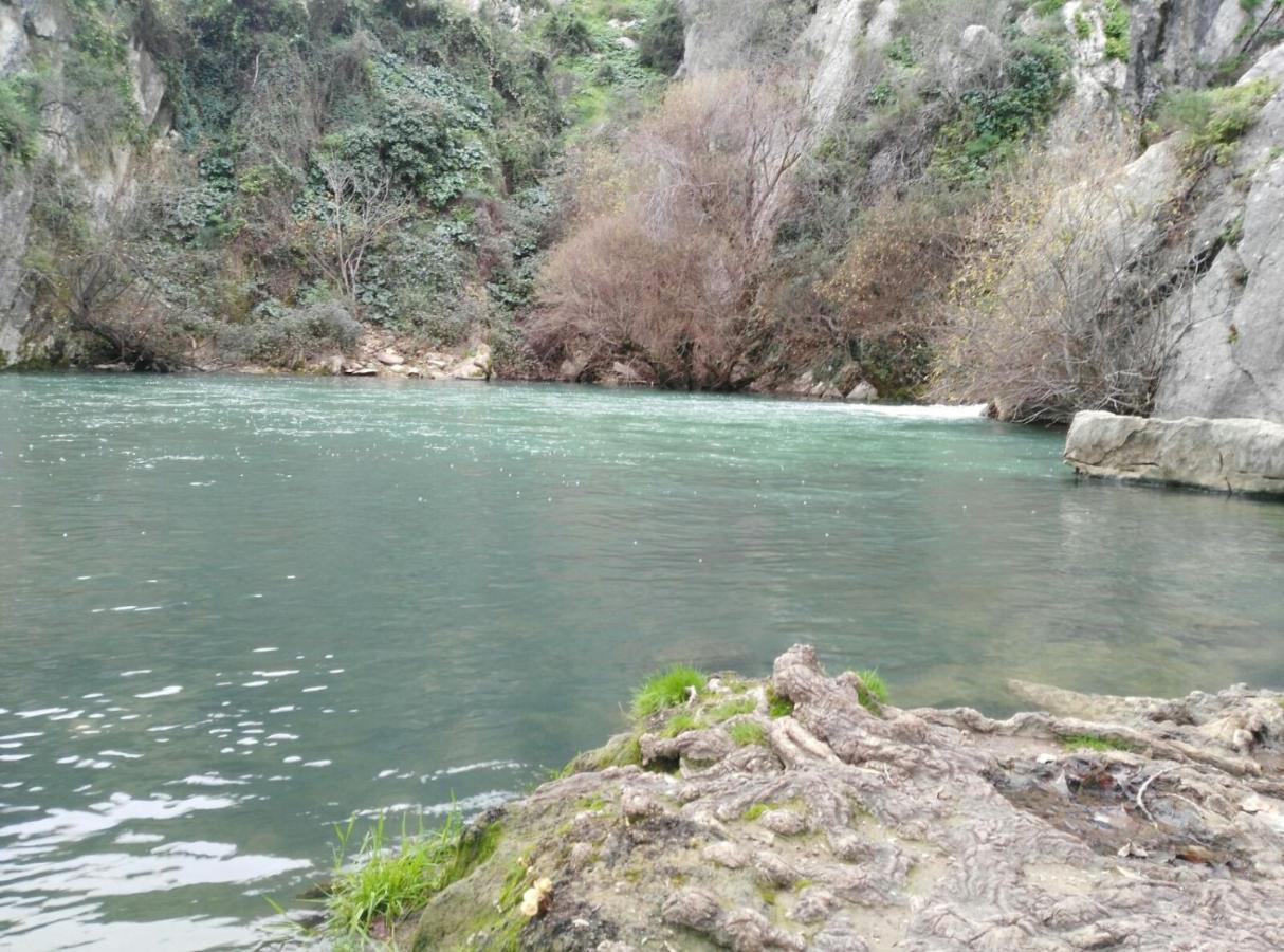 Casa Rural Las Rosas De Benaoján Εξωτερικό φωτογραφία