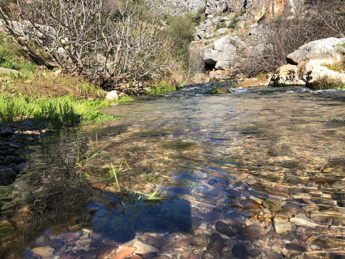 Casa Rural Las Rosas De Benaoján Εξωτερικό φωτογραφία